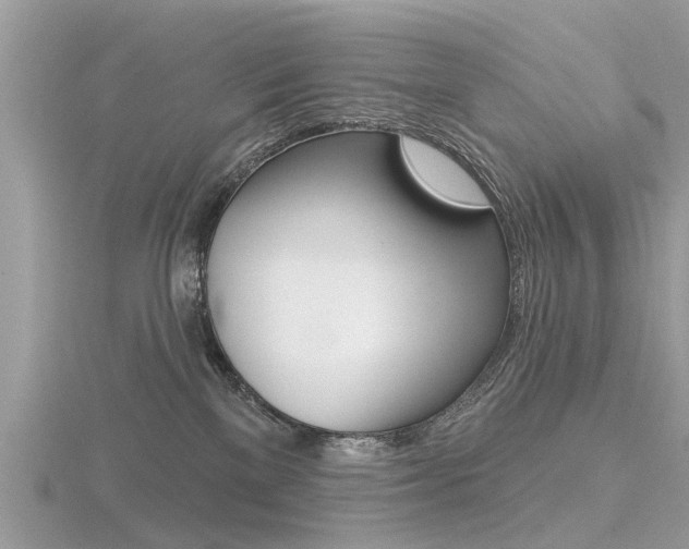 X0000116550137200912101011