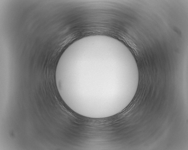 X0000116550141200912101011
