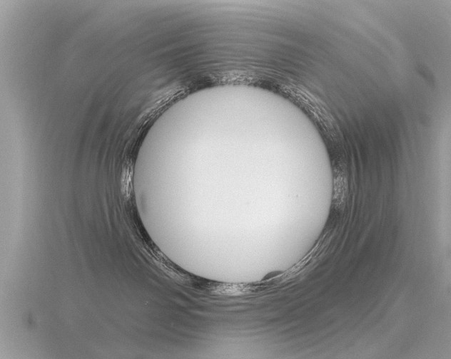 X0000116550142200912101011