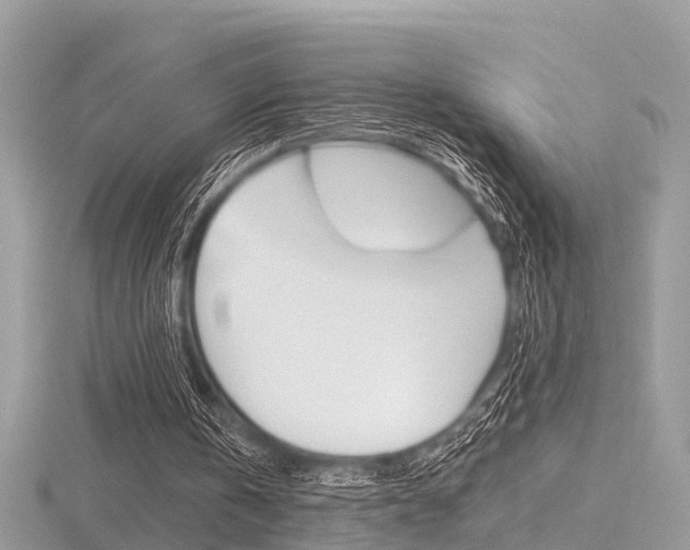 X0000116550146200912101010
