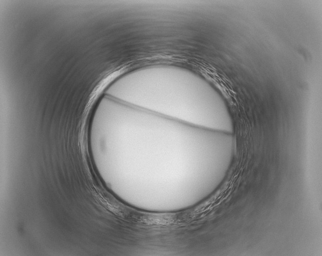X0000116550147200912101010