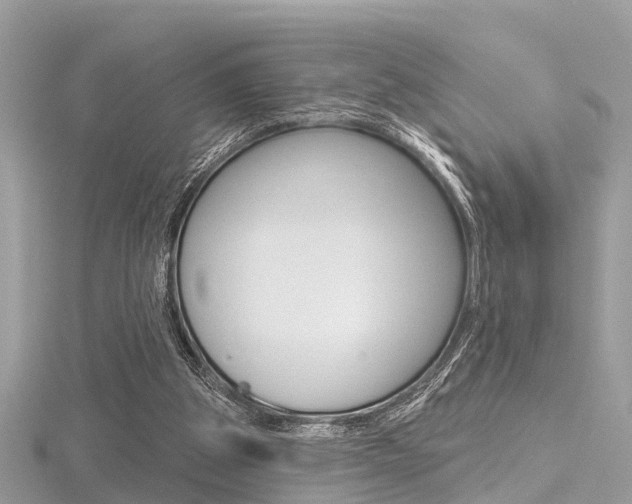 X0000116550153200912101010