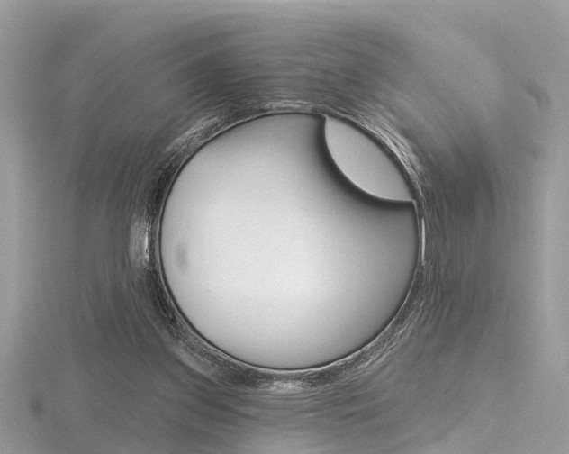 X0000116550157200912101010