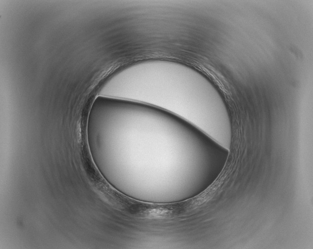 X0000116550158200912101010