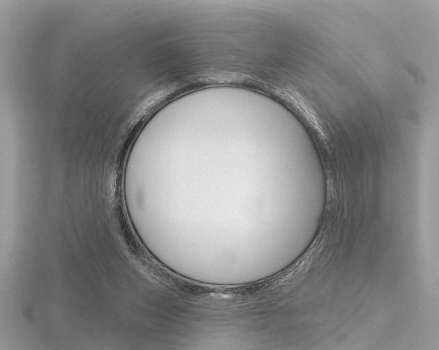 X0000116550159200912101010