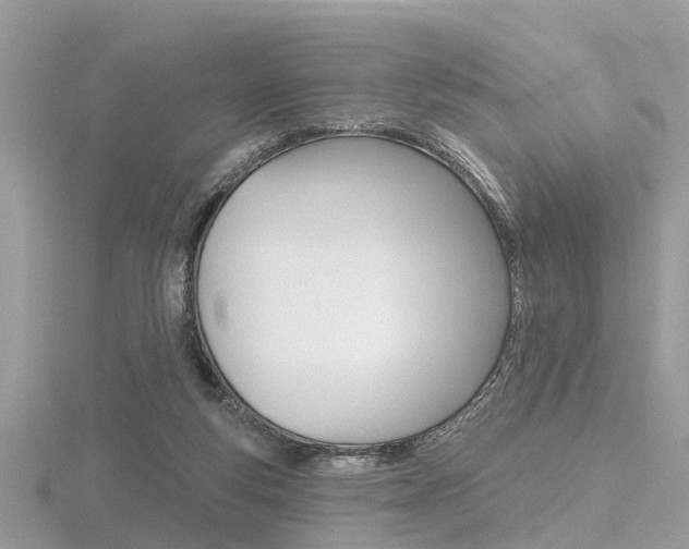 X0000116550163200912101010