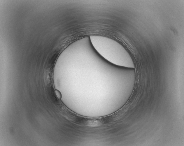 X0000116550169200912101010