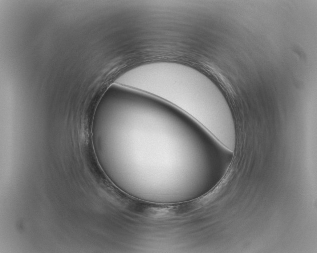 X0000116550170200912101010