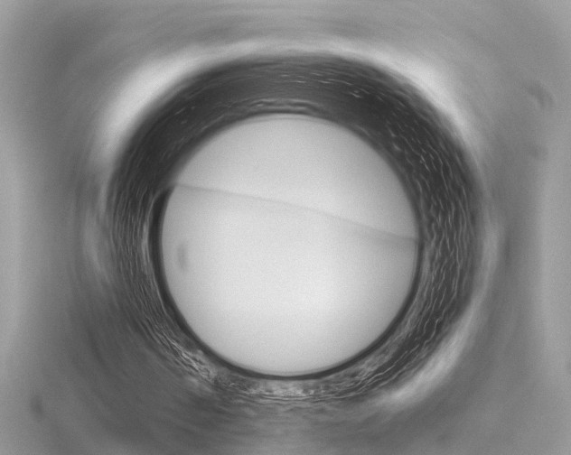 X0000116550194200912101010