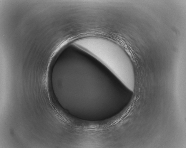 X0000116550196200912101010