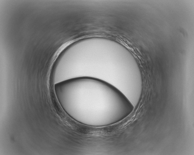 X0000116550200200912101010
