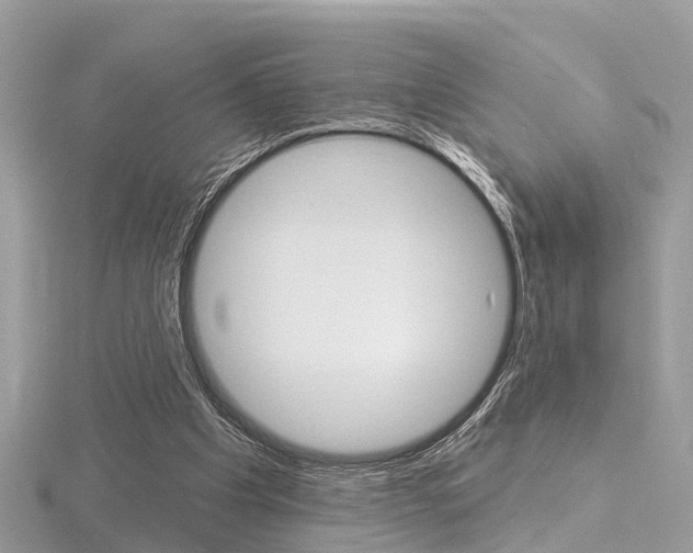 X0000116550201200912101010