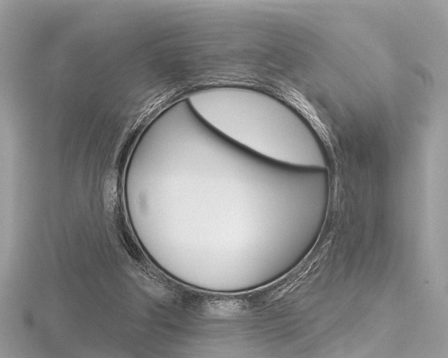 X0000116550202200912101010