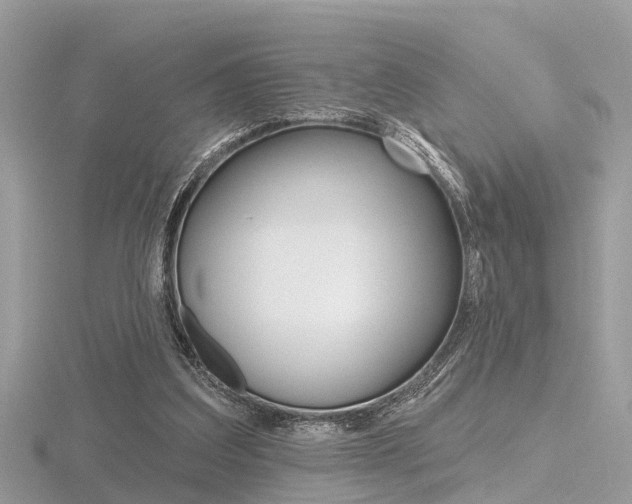 X0000116550203200912101010
