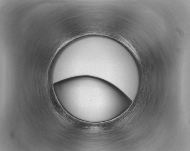X0000116550204200912101010