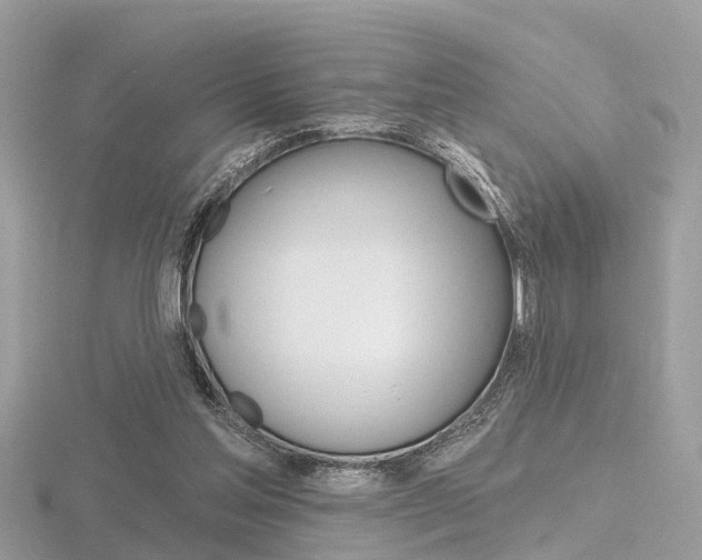 X0000116550205200912101010