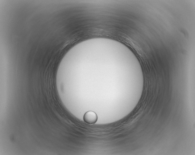 X0000116550215200912101009