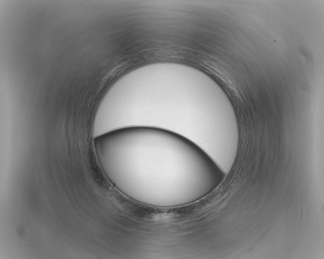 X0000116550216200912101009