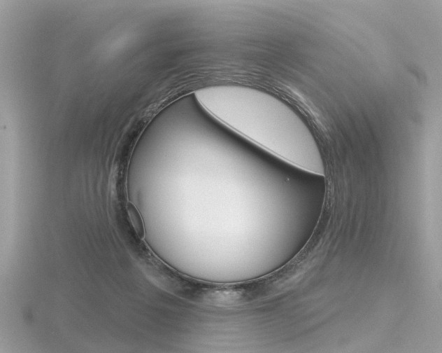X0000116550217200912101009
