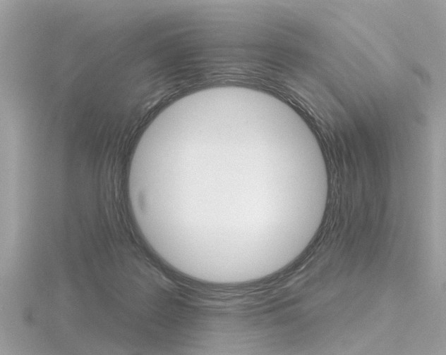 X0000116550219200912101009