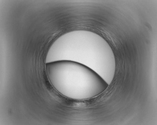 X0000116550220200912101009