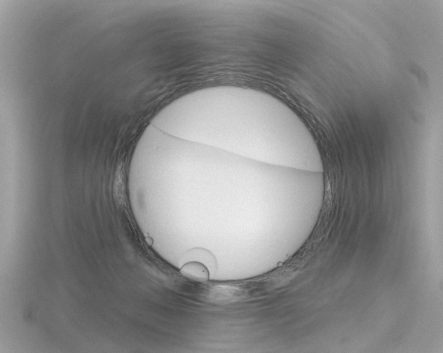 X0000116550222200912101009