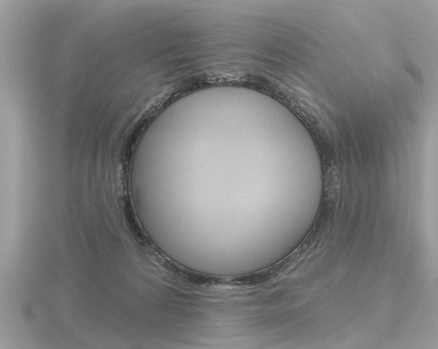 X0000116550224200912101009