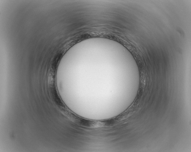 X0000116550226200912101009