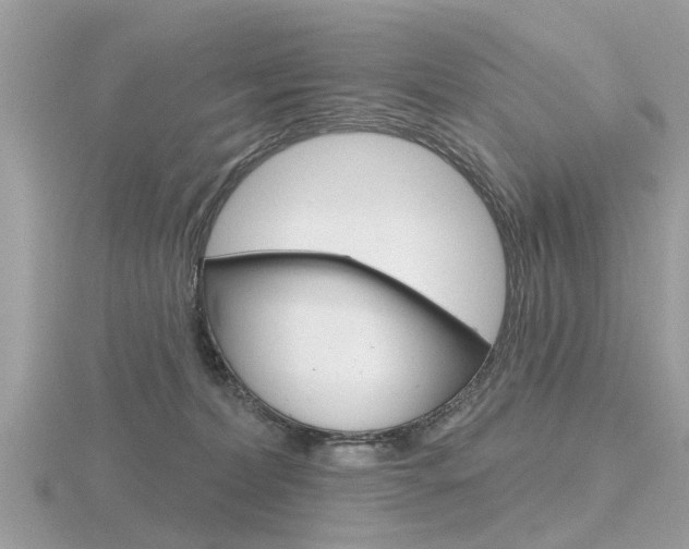 X0000116550228200912101009