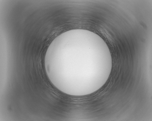 X0000116550229200912101009