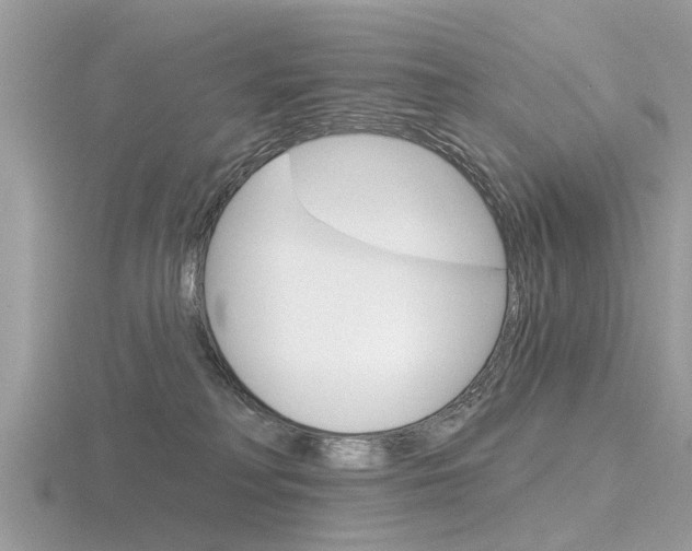 X0000116550230200912101009