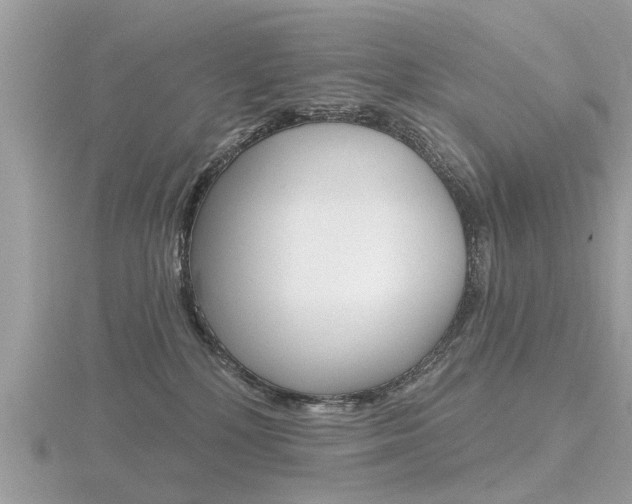 X0000116550232200912101009
