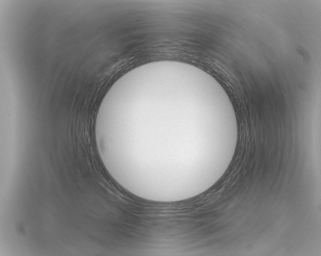 X0000116550233200912101009