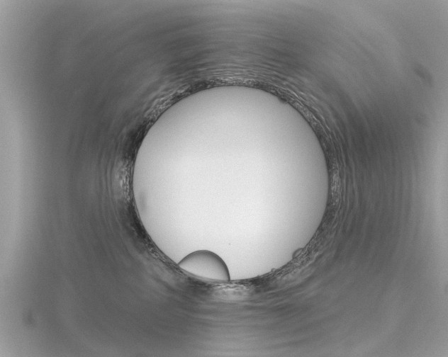X0000116550234200912101009