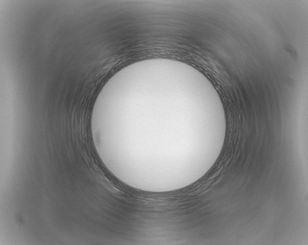 X0000116550235200912101009