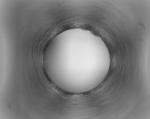 X0000116550236200912101009