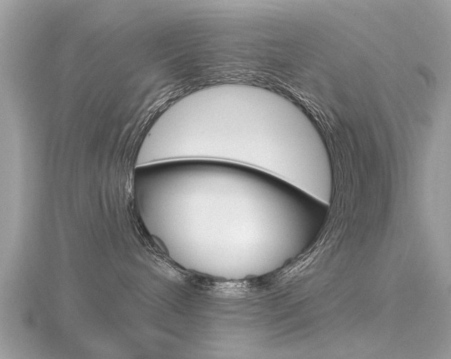X0000116550240200912101009