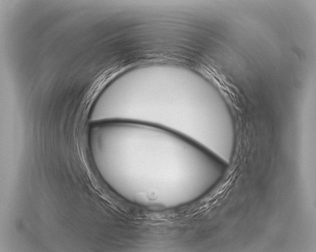 X0000116550241200912101009