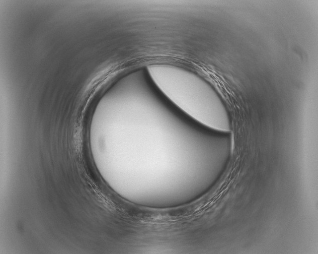 X0000116550243200912101009