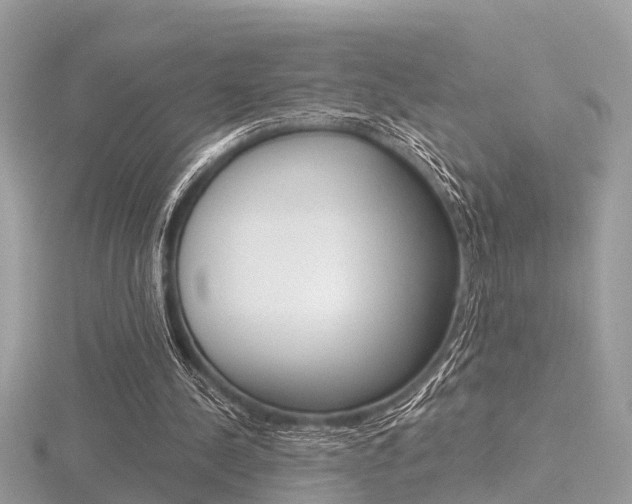 X0000116550244200912101009