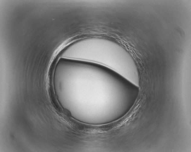 X0000116550246200912101009