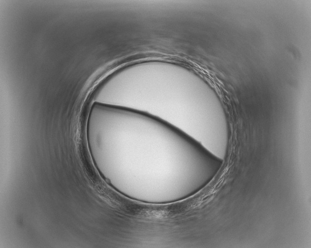 X0000116550247200912101009