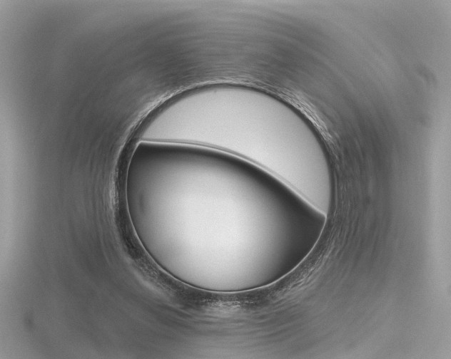 X0000116550252200912101009