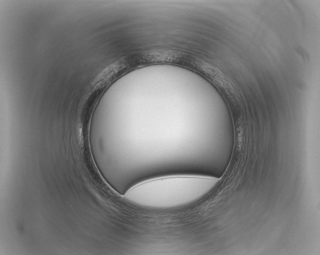 X0000116550254200912101009