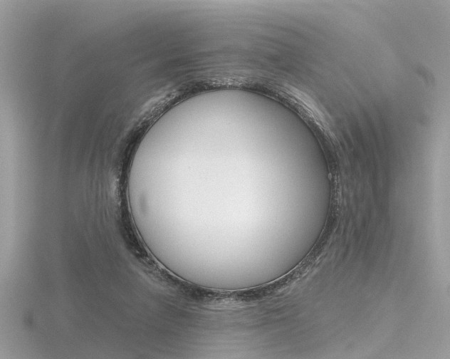 X0000116550258200912101009
