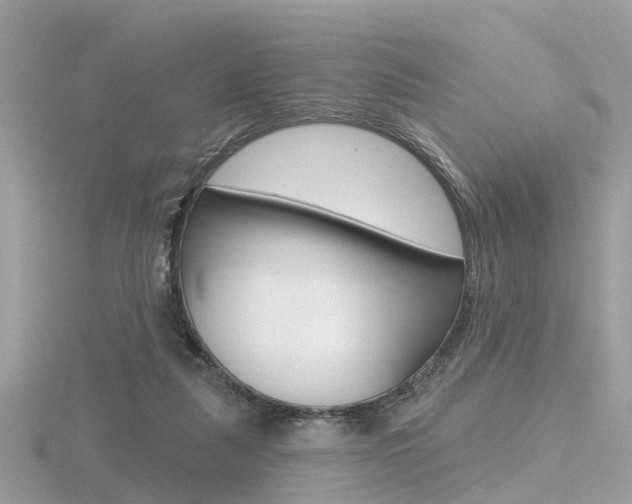 X0000116550259200912101009