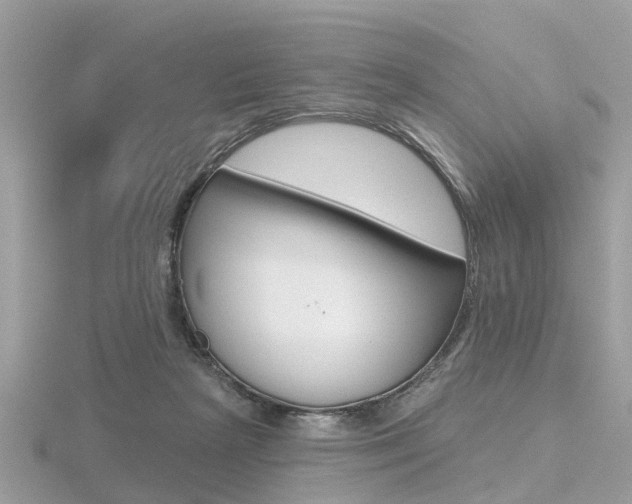 X0000116550265200912101009