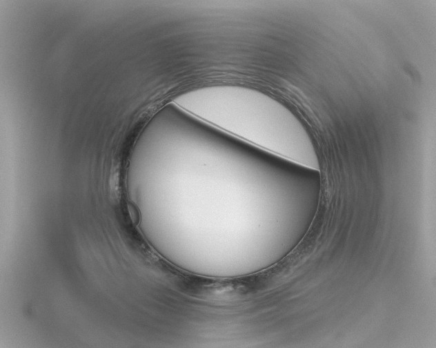 X0000116550267200912101009