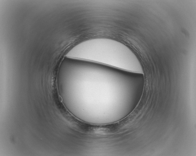 X0000116550268200912101009