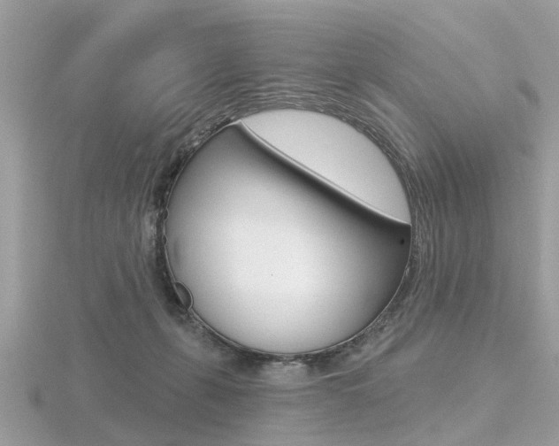 X0000116550271200912101009